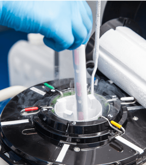 cryopreservation